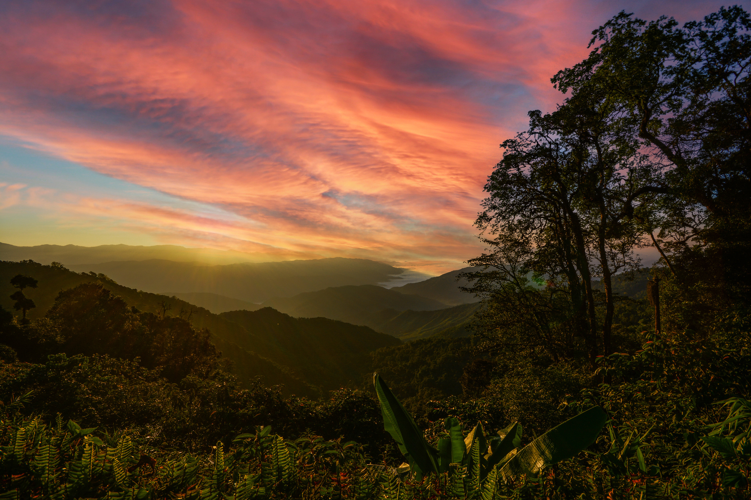 nature sunset background